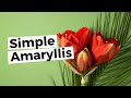 How to Make a Simple Vase Arrangement with Amaryllis- Triangle Nursery Wholesale Flowers and Academy
