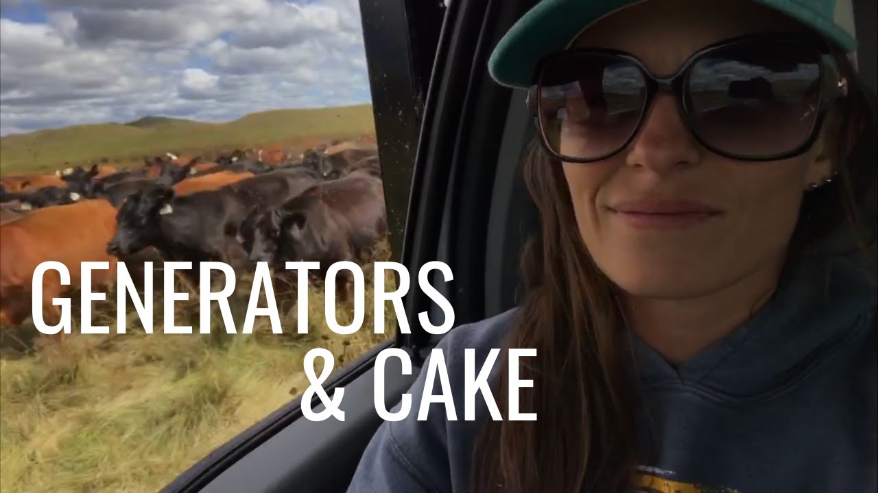 The One with the Generator + the Cake