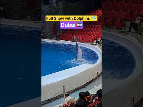 Dubai Dolphinarium Live Show #trending #dubai #dolphinarium #dolphine #dolphineshow #4k #dubaiparks