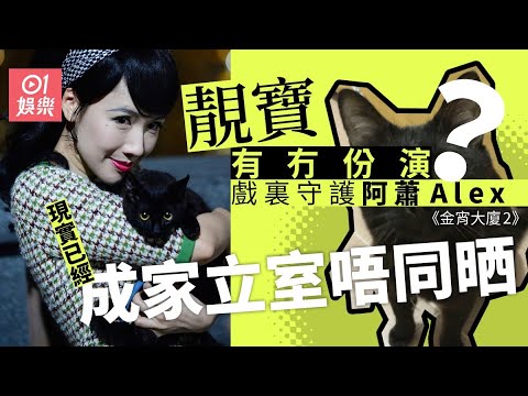 【金宵大廈2】靚寶會否再次亮相？　3個月前夥周秀娜拍ViuTV劇