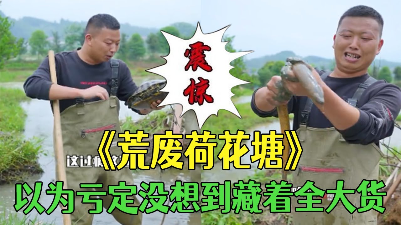 花660包下壹個沒人要的荒廢荷花塘，以爲虧定沒想到藏著全大貨#小飛哥#農村生活#抓魚#我要上熱門#三農