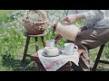 ひたすら花と蝶に囲まれてお茶会をするだけ。