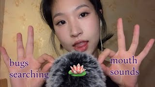 ASMR bugs searching with mouth sounds