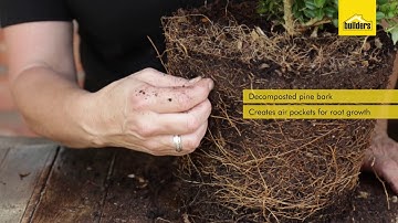 Why You Should Use Potting Soil