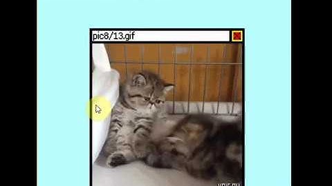 Loading Screen Simulator Speedrun 0:0166