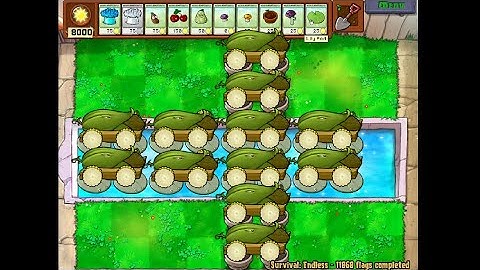 Pure 12 Cob Setup | Survival Endless