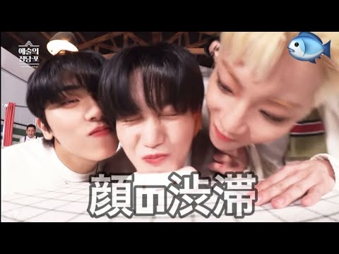 【ONF日本語字幕】孫は愛されている（おねのぷTMIクイズ）