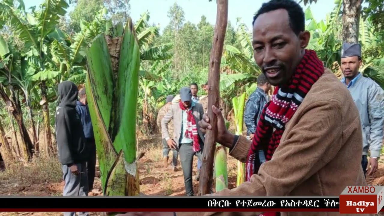 #ሀዲያቲቪ አማርኛ ዜና