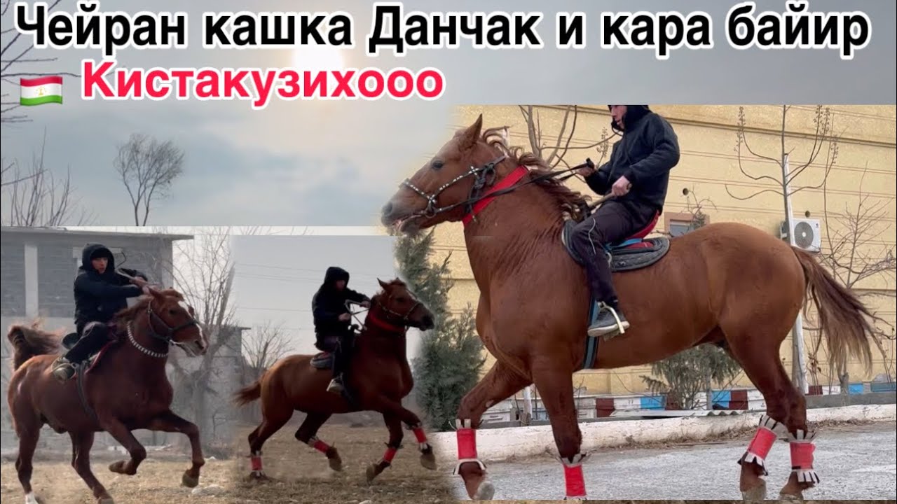 4 января 2024 г.