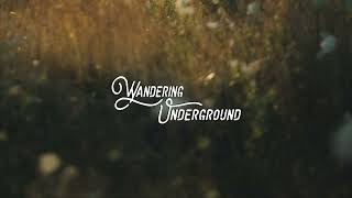 Abstract & Blulake - Hello Remix Of Adele 12 Years