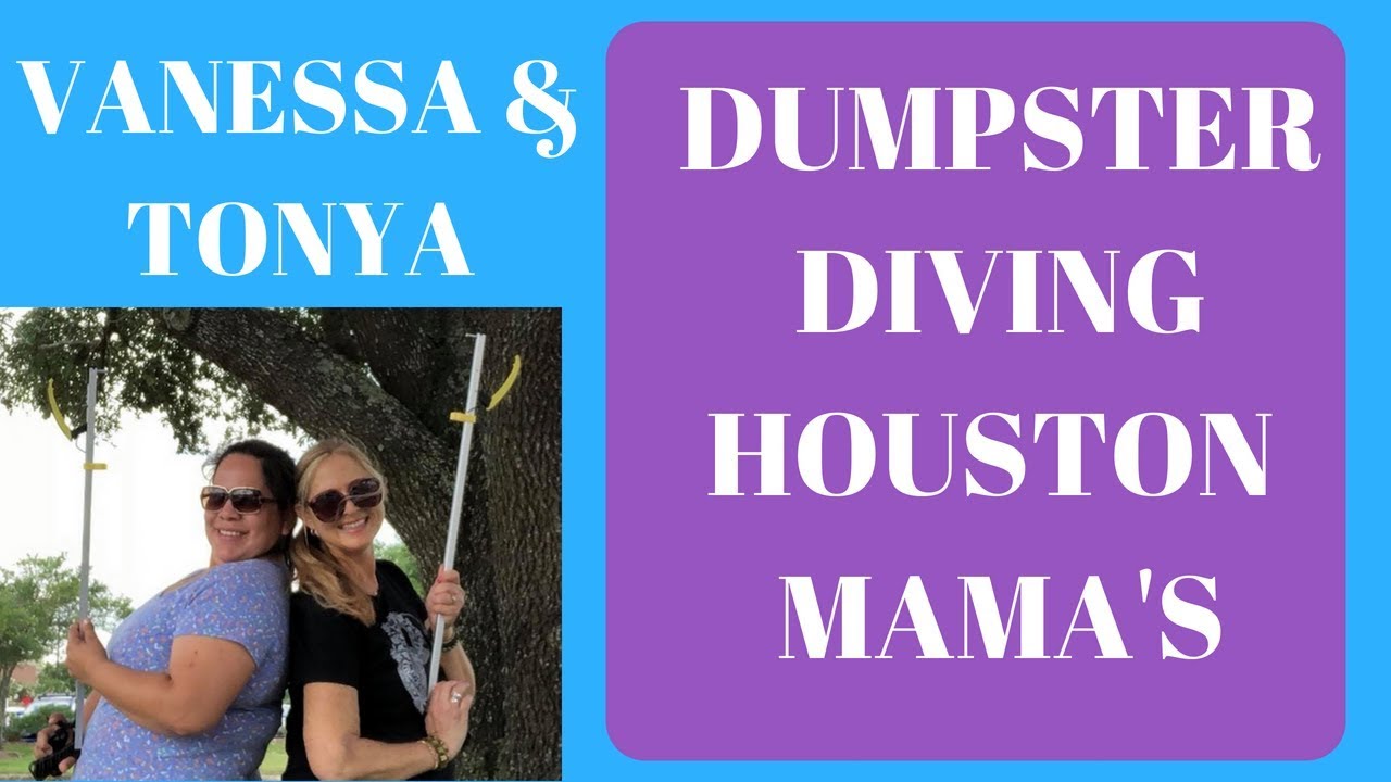 Dumpster Diving Houston Mama's Trip #1 Ulta Petsmart Carters