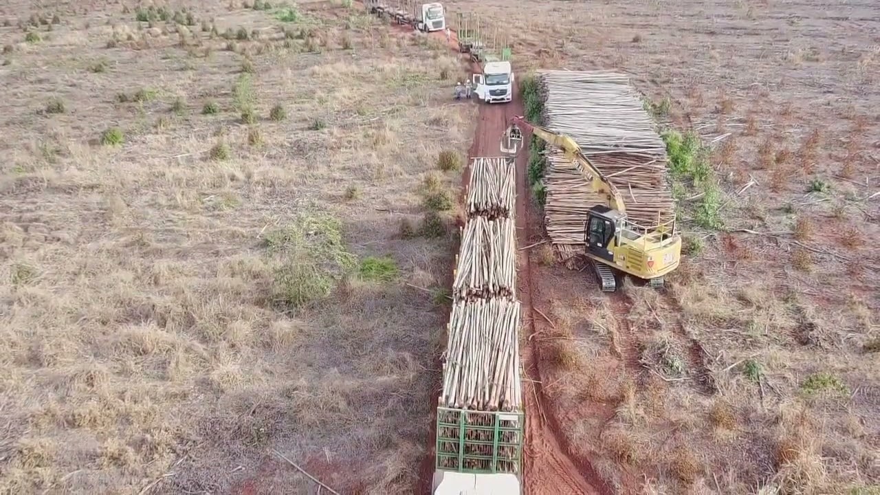 Mais uma carrao qualificado