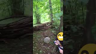 upload out sooooonnn #vr #gorillatag #bigscary #horror