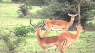 Naivasha and Hell's Gate 2