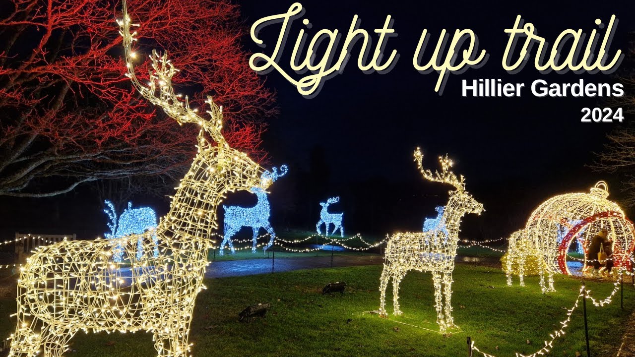 Light Up Trail at Hillier Gardens, Romsey ✨ 2024 | Jessie May