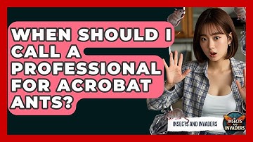 When Should I Call A Professional For Acrobat Ants? - Insects and Invaders