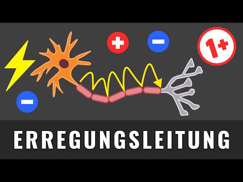 Vídeo: Was macht der Schnürring?