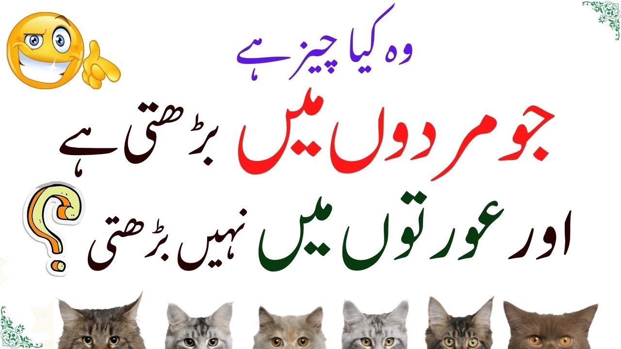 Pakistani Riddles Amazing Pahaiyan | Facts in urdu | Best Pahaliyan | Riddles with answer ...