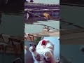 Funny Animals #11