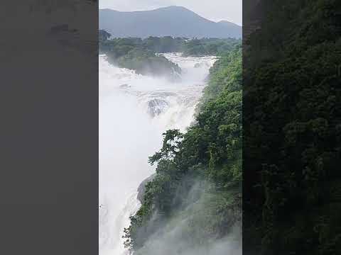 Gaganachukki Falls Shivanasamudra Falls Traveling Karnataka