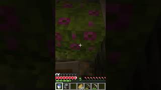ziua 3 când joc Minecraft până bat dragonul #minecraft