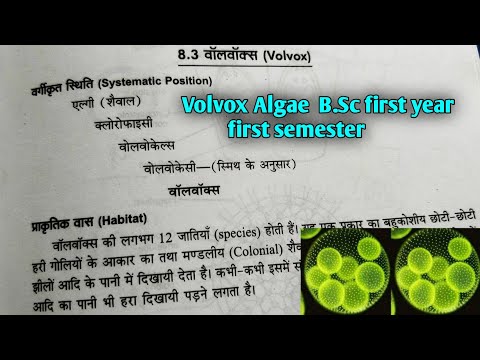 वीडियो: Volvox भोजन को कैसे पचाता है?