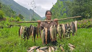 Catching a Lots of Wild Fish in Mud Pond | Carp, Clam & Snail to the Marke and Sell