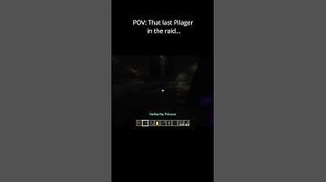 POV: That last Pillager in the raid… (Minecraft)
