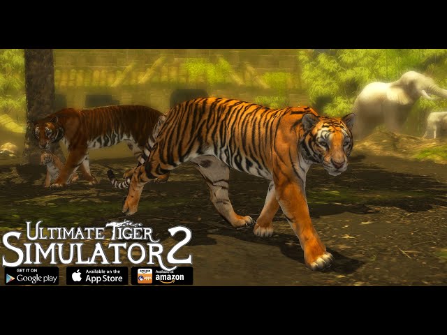 Tiger Games: Tiger Sim Offline – Apps no Google Play