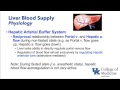 Hepatic Physiology and Anesthesia - Dr. Schell