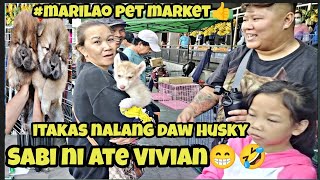 #Marilao petmarket#itakas nlang daw ni ate Vivian husky ni kuya kath#bagong tiange sa marilao