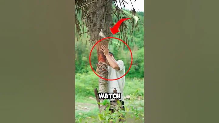 How To Make Palm Leaf Raincoat #shortfeeds #videos #shorts #viralfeeds #videosshorts #shortvideos