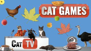 Cat Games | Autumn Kitty Extravaganza: Dancing Turkeys, Popping Pies, & Ostrich Surprises  | Cat TV