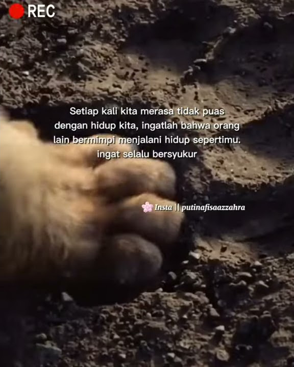 Story Whatsapp Selalu Bersyukur😇//