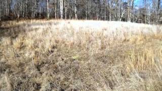 Homes for Sale - Lot 11 Meadow Brooke Young Harris GA 30582 - Mike Stewart