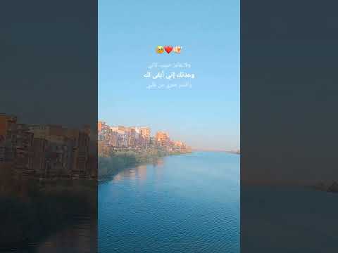 انا حابب حياتي معاك ولا عايز حبيب تاني     رومانسي عمرو دياب