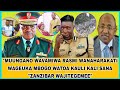 MUUNGANO WAVAMIWA RASMI WANAHARAKATI WAGEUKA MBOGO WATOA KAULI KALI SANA ZANZIBAR WAJITEGEMEE