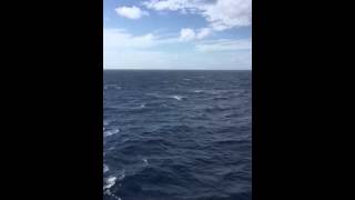 Surprise on the high seas Content