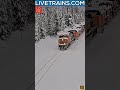 BNSFs Snow Spreader Begins Work at Essex! #interestingfacts #livestream  #trains  #railroad #bnsf  thumbnail