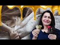 E esse tal Mel do Amor? | Vânia, me explica!