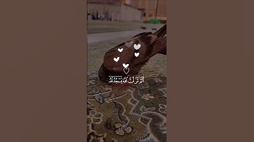{ أَلَمْ تَرَ أَنَّ اللَّهَ يَسْجُدُ لَهُ  } 🌙 | سورة الحج | بصوت 🎧 ياسر الدوسري 🤍