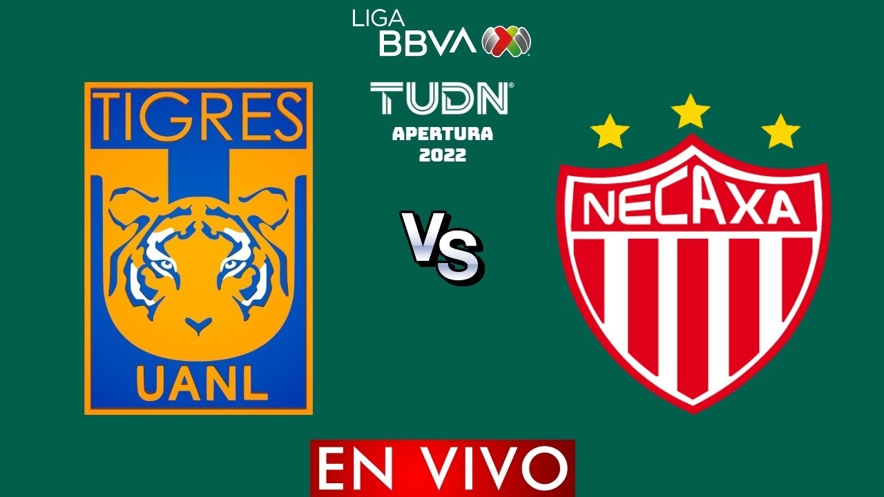 Tigres vs Necaxa | RESUMEN 0-0 | Jornada 11 Liga MX Apertura 2022 - YouTube