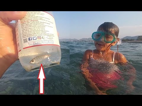 Denizde basit yöntemle balık tuttuk, sualtı görüntüleri Eğlenceli vlog videosu