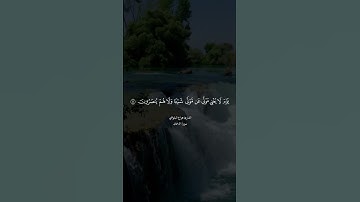 (إن يوم الفصل ميقاتهم أجمعين) القارئ هزاع البلوشي