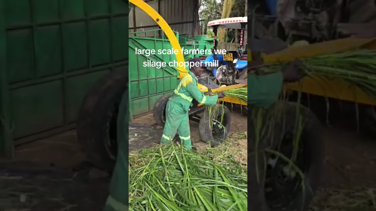 Silage chopper mill with production capacity of 4000 kg per hour. Feel free to call us on 0724739126