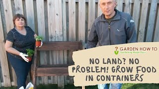 No land? No problem! Grow food in containers