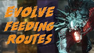 Optimal feeding routes for Evolve Stage 2! (2022)