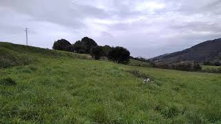 Inmobiliaria Rivero, Finca rústica en Ambas (Carrero) Asturias