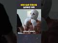 성형수술에 전재산을 날려버린 여자