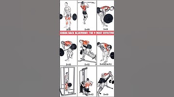 Cobra Back Blueprint: The 9 Most Effective Back Exercises Gym #backworkout
